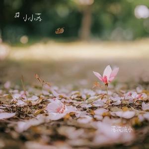 四季春秋