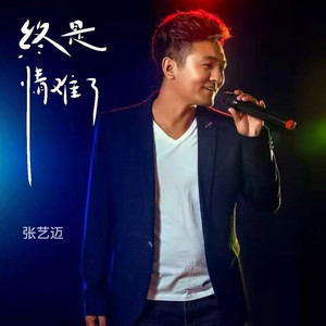 终是情难了