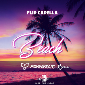 Beach (Phandelic Remix) (Radio Edit)