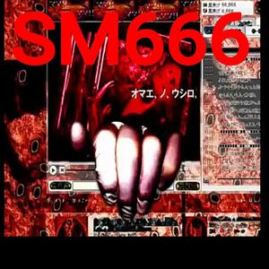 SM666