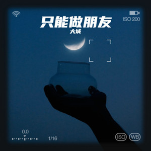 只能做朋友 (DJ光头版)