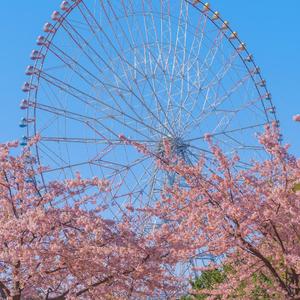 一个人想着一个人（翻自 董书含）