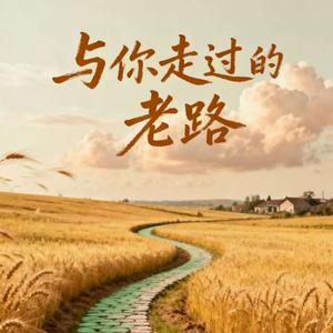 与你走过的老路