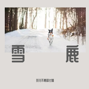 如果对人体然而