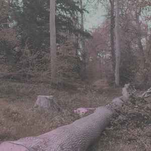 እቲ ዝተሰብረ መዝሙር