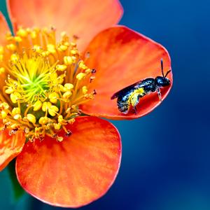 想问情深有几许