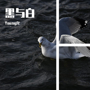 黑与白