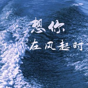 想你在风起时MMM