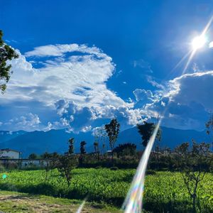 风掀起的窗帘絮语