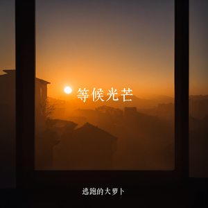 等候光芒