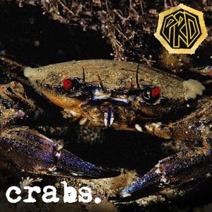 Crabs