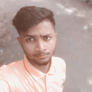 সুখ দিলি নারে পোলা ডিজে