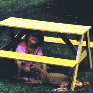 in the aeroplane over the sea