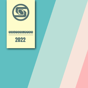 Moon Fog (Fiddler Remix)