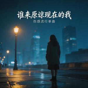 谁来原谅现在的我