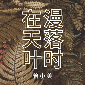 在漫天落叶的广州等你 (伴奏)