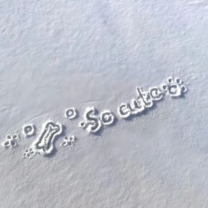 钢琴白噪音里的入眠序曲