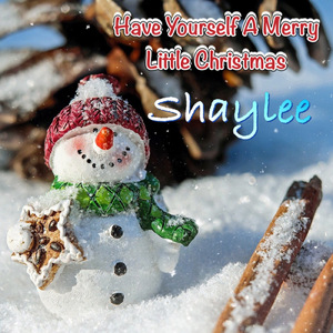 Have Yourself A Merry Little Christmas