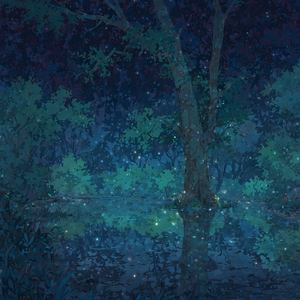 Night Clarity