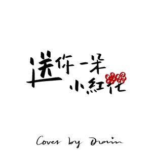 送你一朵小红花（女生版）（翻自 赵英俊）