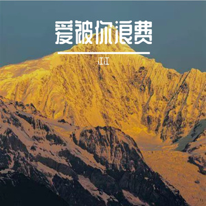 爱被你浪费