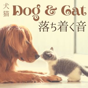 安らぎを与える