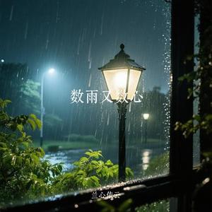 数雨又数心