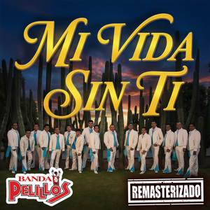 Mi Vida Sin Ti (Remasterizado 2026)