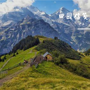 晴窗品茗