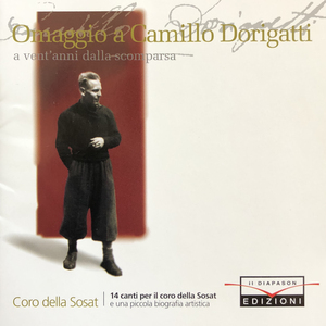 Cesota del Vason
