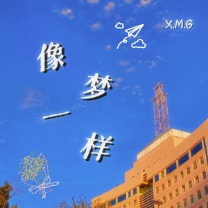 像梦一样（忻师毕业版）
