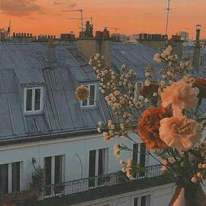 Through the love season