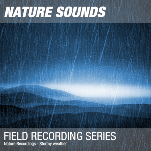 Nature Sounds for Sleep, Relaxation & Meditation (Stormy weather, thunder) 02