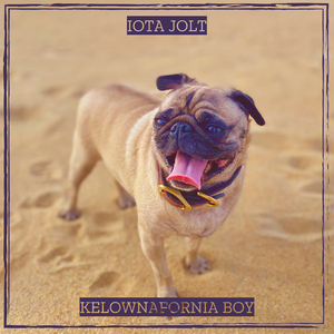 Iota Jolt
