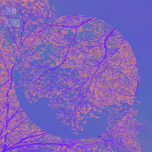 Солнце
