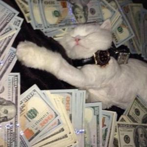 TOO MUCH CASH (feat. nofacecam & XV SAVI)