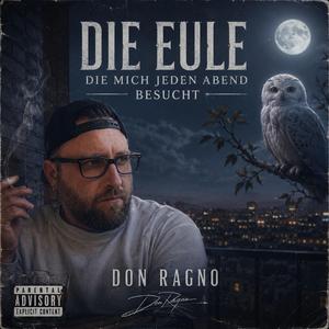 Die Eule die mich jeden Abend besucht