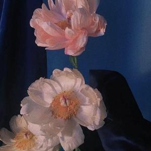 爱存在（翻自 魏奇奇）