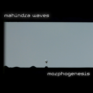 The Butterfly Effect