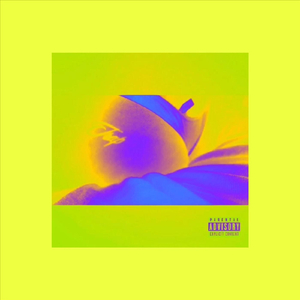 Bad Girl's Trap, Vol. 2