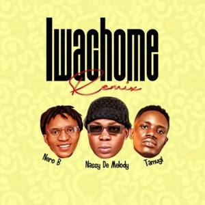 Iwachome (Remix)
