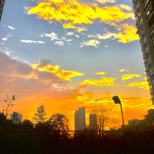 三叶的主题曲（吉他短版）