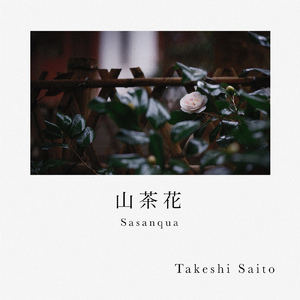 山茶花