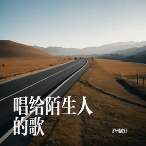 唱给陌生人的歌