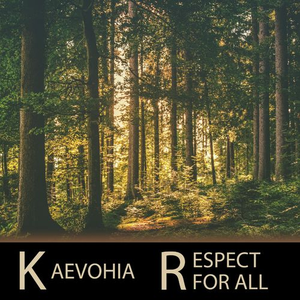 Respect For All (Sunhiausa Flute Edit)