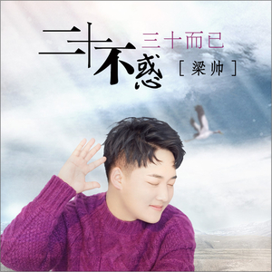 二十不惑三十而已 (Dj何鹏版)