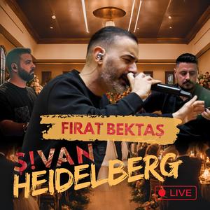 Sallama Grani Derdiyoklar Halaylar (Malatya Fethiye) Canlı (feat. Ş!VAN)