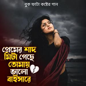 প্রেমের শাদ মিটা গেছে তোমায় ভালো বাইসারে