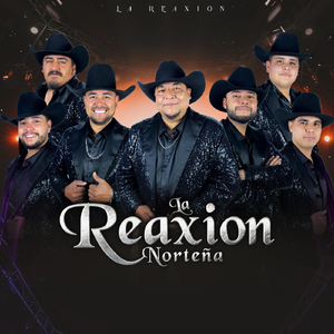 Voy a Quererte Tanto (Live)