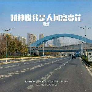 财神说我是人间富贵花